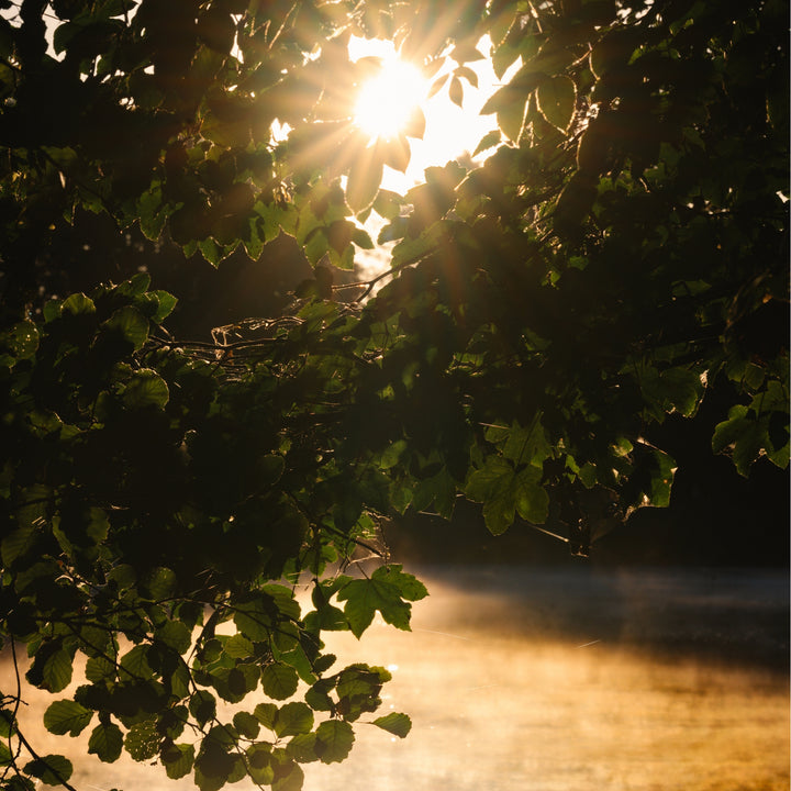 4-Day Reset Retreat I Cabin Punnu